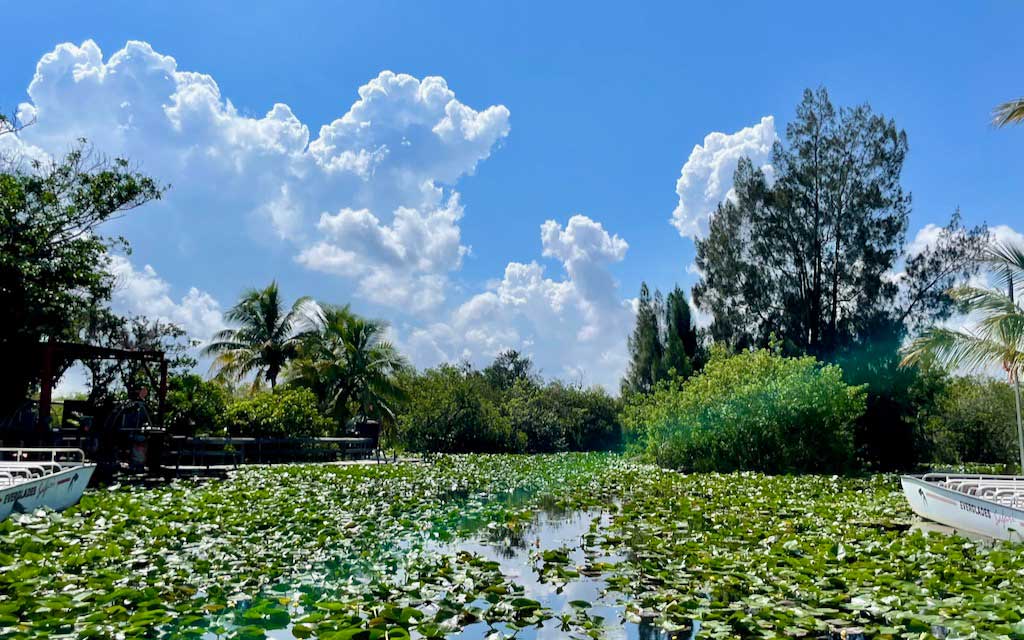 Guida alle Everglades: Scegliere il Parco Migliore